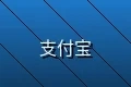支持支付宝在线支付